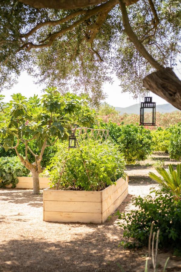 Can Arabi - Adults Only Puig D'en Valls Exterior photo